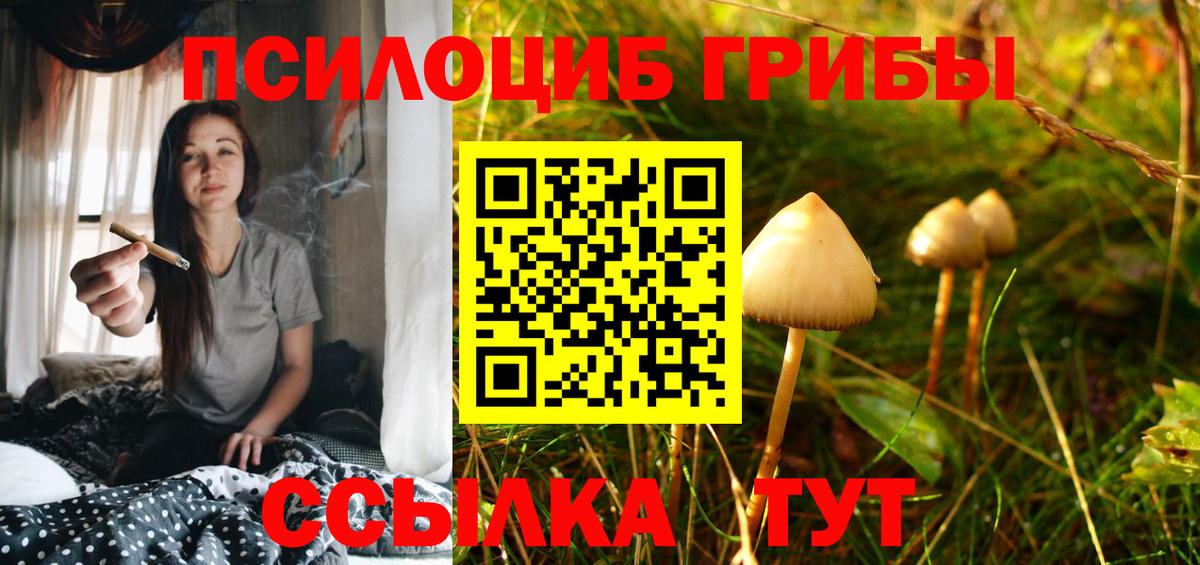 Татарск  Галлюциногенные грибы Psilocybe  Вход с VPN 