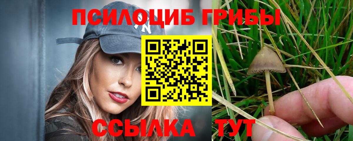 Псилоцибиновые грибы Psilocybe Татарск